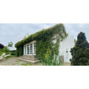 Estudio Casa Marieta